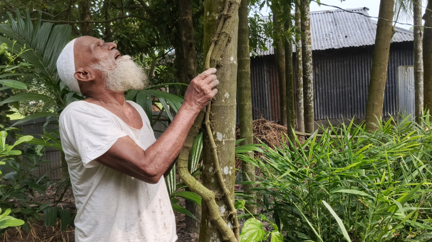rangpur_chuijhal_farming-01.jpg