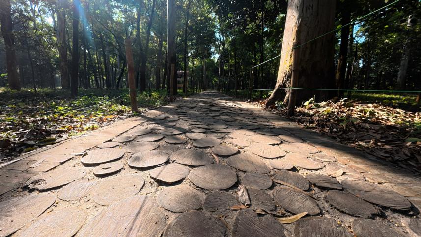 walking_trail_1.jpg