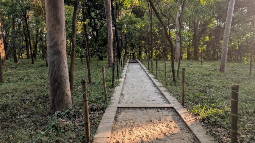 walking_trail_2.jpg