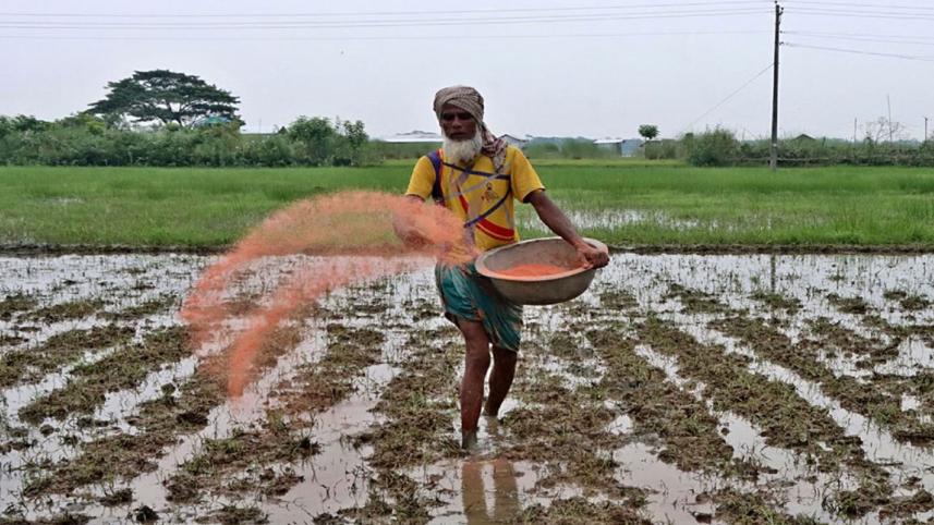 fertilizer.jpg