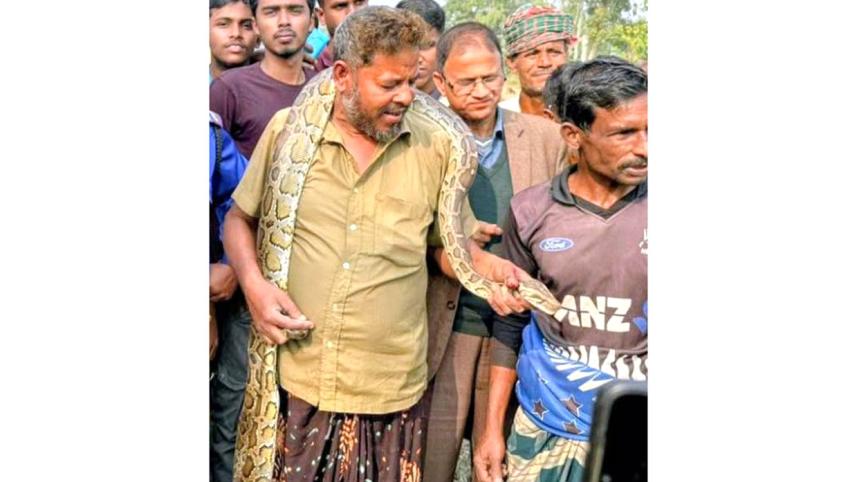 python-kurigram.jpg
