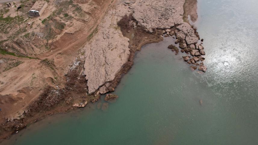 tigris02.jpg