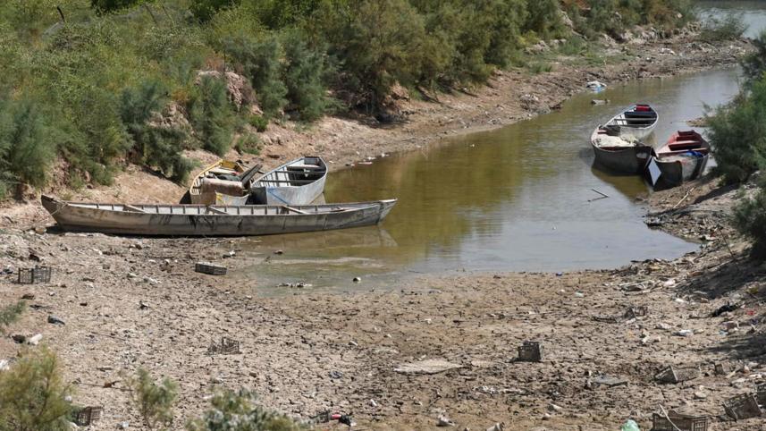 tigris03.jpg