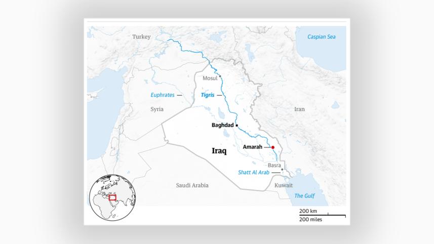 tigris04.jpg