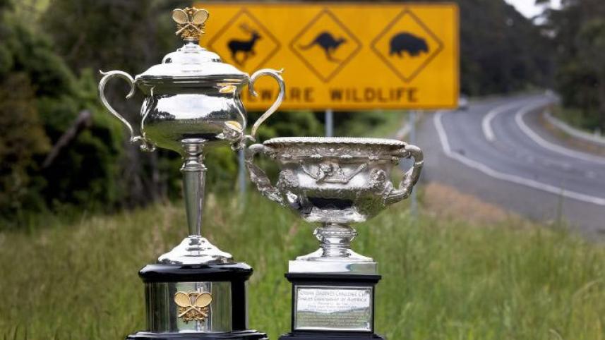 trophy.jpg