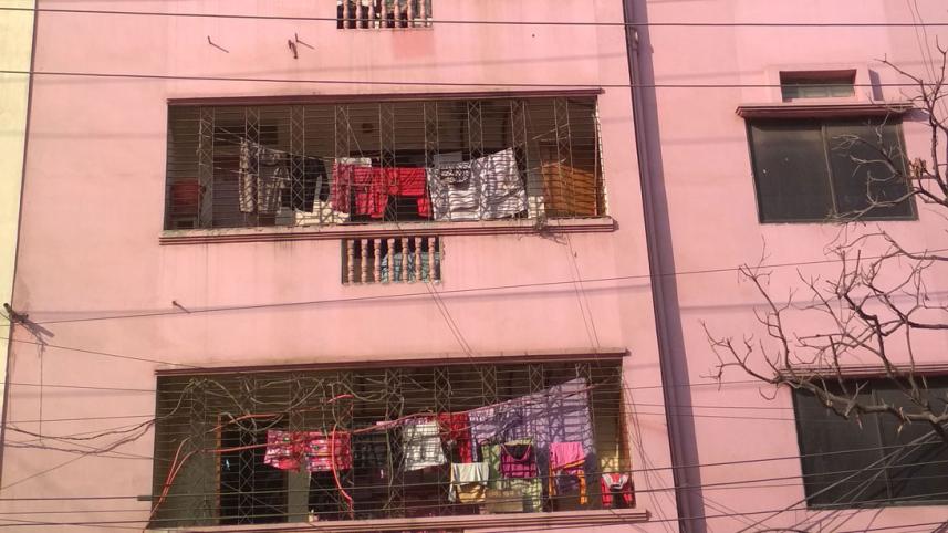 Election monitor