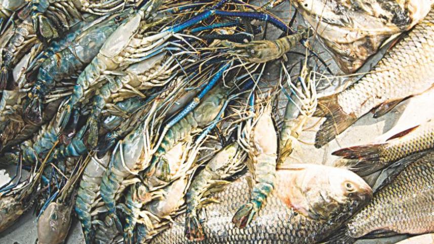 fish_fanatics_day_out_07.jpg