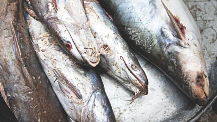 fish_fanatics_day_out_08.jpg