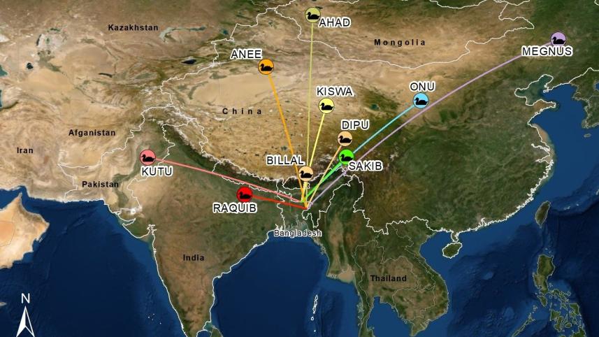migratorybird-iucn.jpg