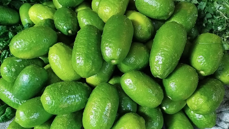 লেবু