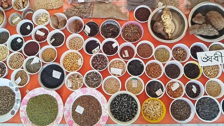 Seed