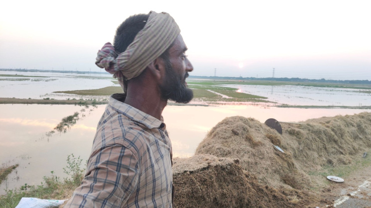 করিমগঞ্জের বড় হাওর এলাকা থেকে তোলা। ছবি: তাফসিলুল আজিজ 