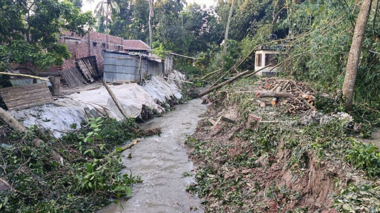 পাবনার অতল্লাপুর গ্রামে বিলের অতিরিক্ত পানি নিষ্কাশনের খালে ভাঙন। ছবি: স্টার 