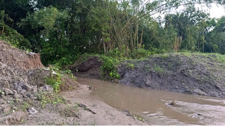 পাবনার অতল্লাপুর গ্রামে বিলের অতিরিক্ত পানি নিষ্কাশনের খালে ভাঙনে আতঙ্কিত স্থানীয়রা। ছবি: স্টার