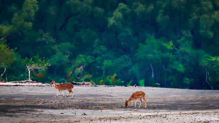 ছবি: স্টার
