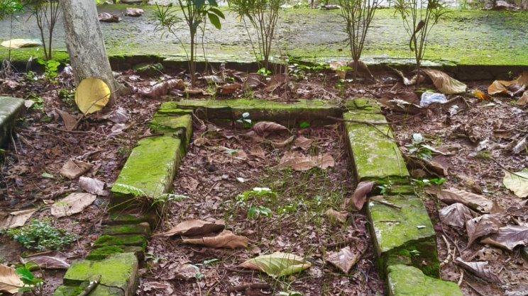 ছবি: স্টার।