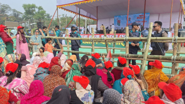 tariq at barishal