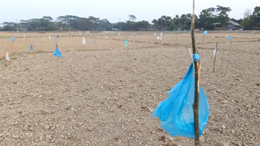 agriculture