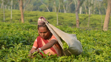 ছবি: মিন্টু দেশোয়ারা/ স্টার