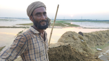 কিশোরগঞ্জের করিমগঞ্জের বড় হাওর এলাকা থেকে তোলা। ছবি: তাফসিলুল আজিজ 