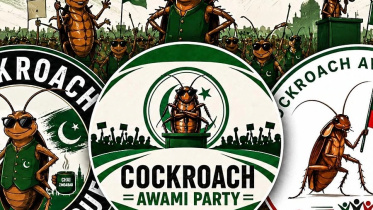 Cockroach