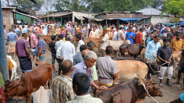 Eid