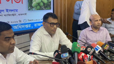 রাজশাহীর আম সংগ্রহ শুরু ১৫ মে