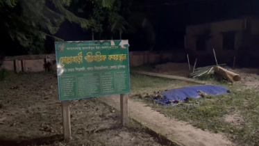 Ramisa_Grave