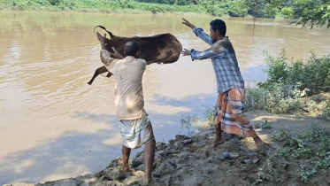ছবি: স্টার।