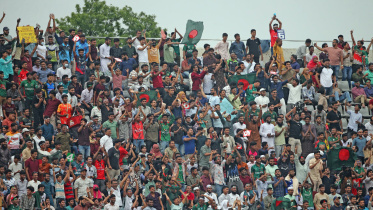 bd fan