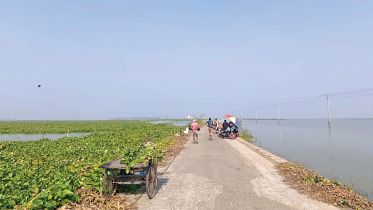 চলন বিল