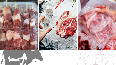 meat