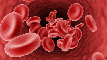 thalassemia