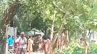 খেলা দেখা