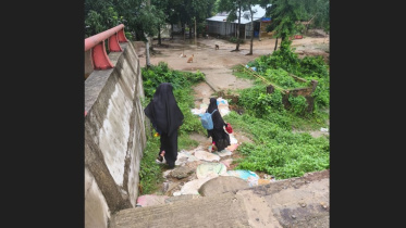 ছবি: স্টার।