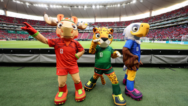 WC mascot