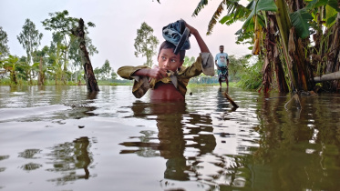 কুড়িগ্রামে বন্যা