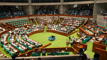 national parliament