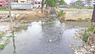স্টার ফাইল ছবি।
