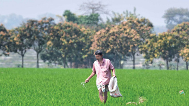 fertiliser