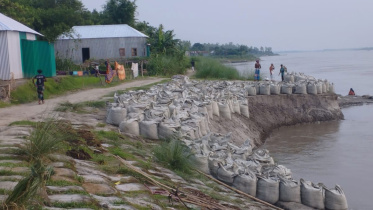 যমুনা নদী