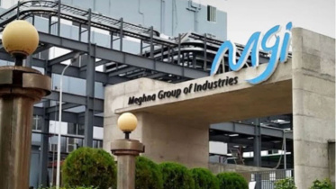 mgi