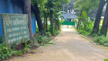 mirshorai-range