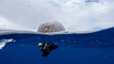 ocean plastic