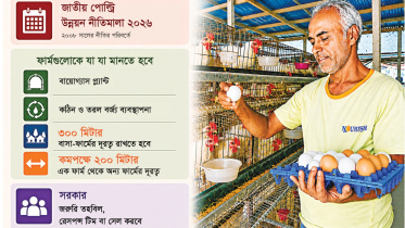 মুরগির ফার্ম