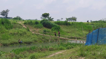কুষ্টিয়া সীমান্ত