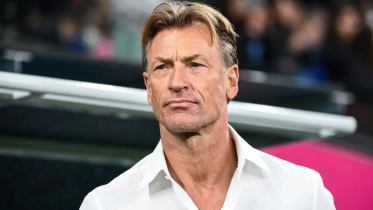 renard