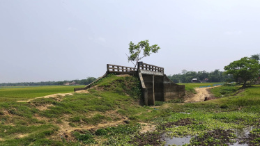 Bridge