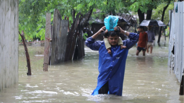 ফাইল ছবি