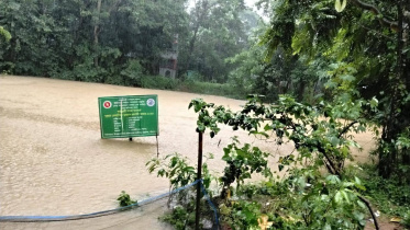 বন্যা